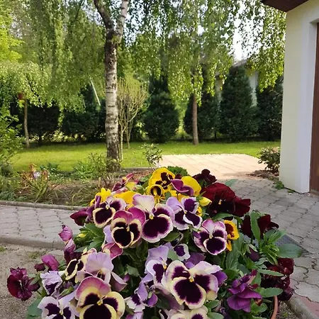 Sielskie - Nowe Z Prywatnym Ogrodem I Biletem Na Basen Gratis * Ustroń