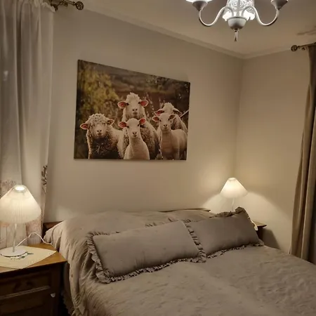 Apartmán Sielskie - Nowe Z Prywatnym Ogrodem I Biletem Na Basen Gratis Ustroň