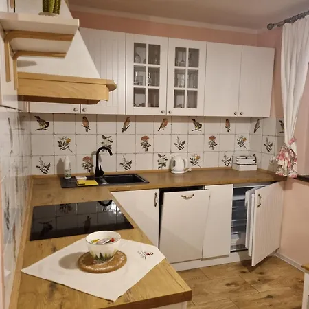 Apartment Sielskie - Nowe Z Prywatnym Ogrodem I Biletem Na Basen Gratis *
