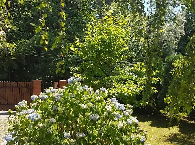 Sielskie - Nowe Z Prywatnym Ogrodem I Biletem Na Basen Gratis * Ustron