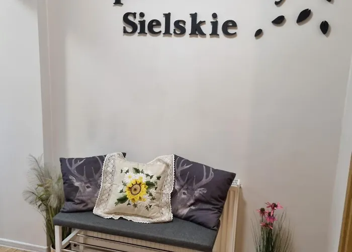 Sielskie - Nowe Z Prywatnym Ogrodem I Biletem Na Basen Gratis Ustron